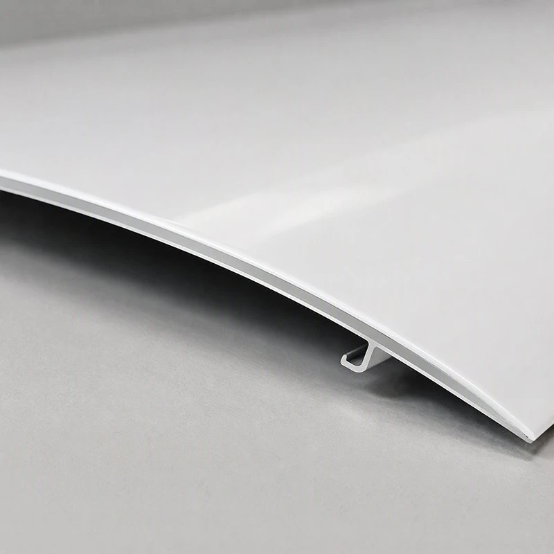 Aluminum Alloy 3D Stretch Ceiling Aluminum Alloy 3D Stretch Ceiling